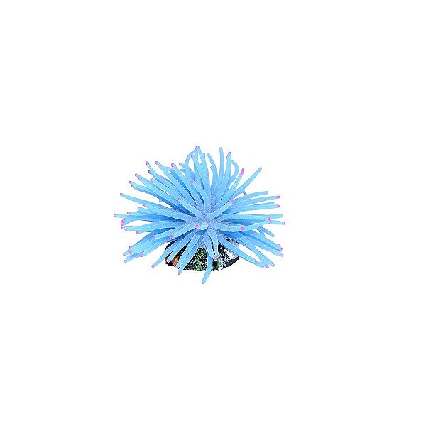 ENFEITE DE SILICONE SOMA ANEMONA SHORT AZUL  6 CM