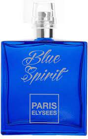 Perfume Importado Paris Elysees Blue Spirit EDT 100 ml