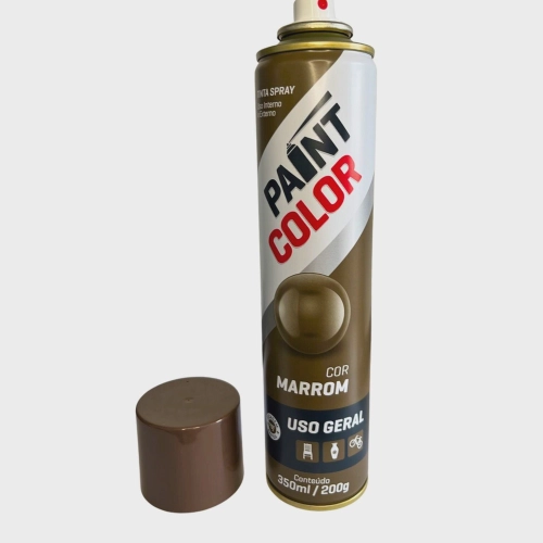 TINTA PAINTCOLOR MARROM 350ML