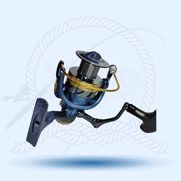 Molinete Cagliari 6000