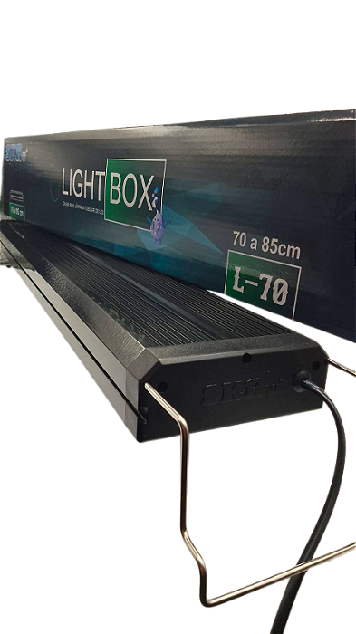 Luminária SKRw com 2 lampadas para Plantado 70-85cm