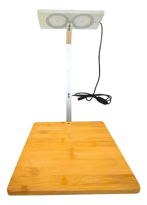 COCO FISH LUMIN. FF-203 24W BR DUPLA C/ BASE 28X27