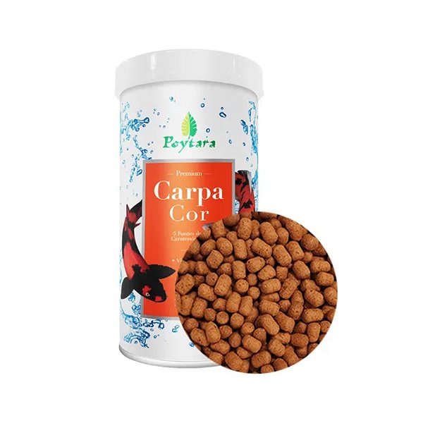 POYTARA CARPA COR 300G