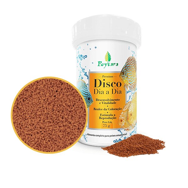 POYTARA DISCO DIA A DIA 75G