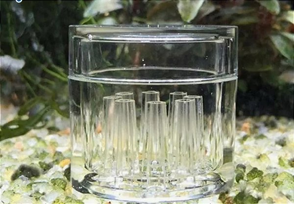 SKRw ARMADILHA P/ PLANARIA - REDONDA 3X3 CM PL-133