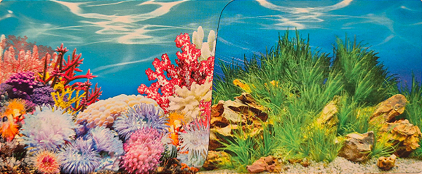 SKRw PAINEL IMAGEM DECOR 30 ALT 1CM COD-8006/9022