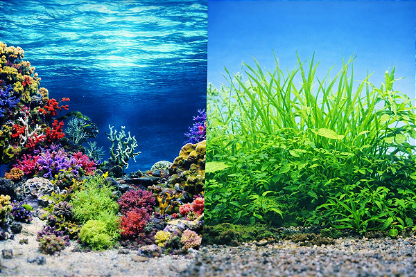 SKRw PAINEL IMAGEM DECOR 30CM 15MT COD-9024/9051