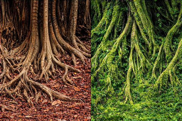 SKRw PAINEL IMAGEM DECOR 50 ALT 1CM COD-8009/8010