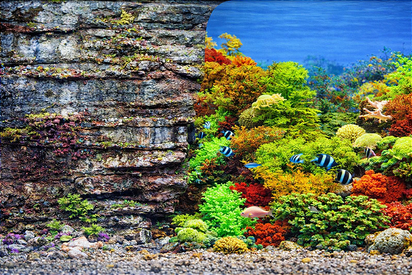 SKRw PAINEL IMAGEM DECOR 60 ALT 1CM COD-9035/9036