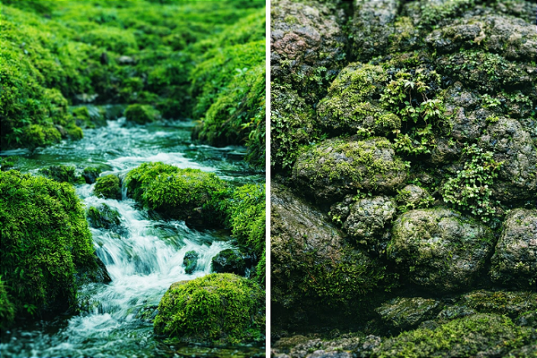 SKRw PAINEL IMAGEM DECOR 60 ALT 1CM COD-9037/9057