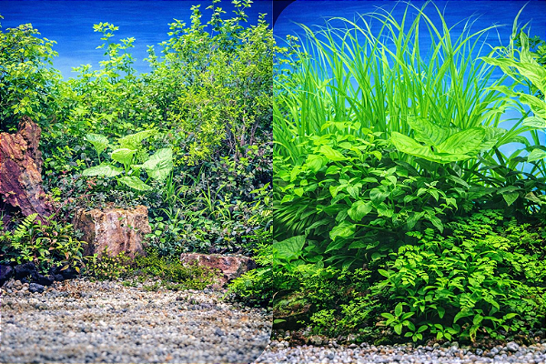 SKRw PAINEL IMAGEM DECOR 60 ALT 1CM COD-9065/9051