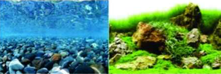 SKRw PAINEL IMAGEM DECOR 60 ALT 1CM COD-9078/9079