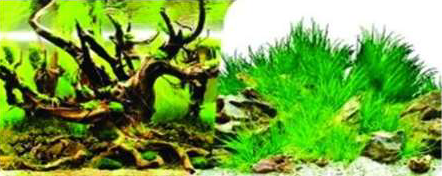 SKRw PAINEL IMAGEM DECOR 60 ALT 1CM COD-9098/9022