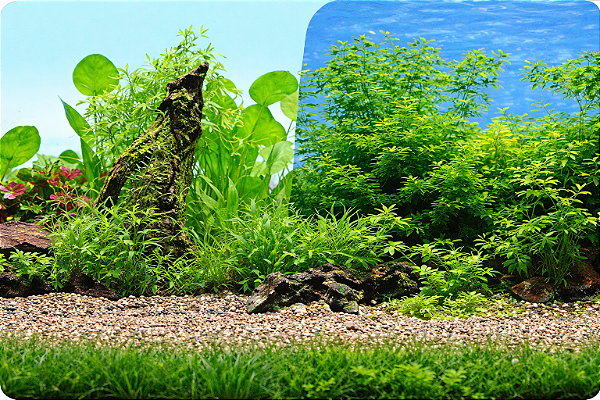 SKRw PAINEL IMAGEM DECOR 60CM 15MT COD-9011/9031