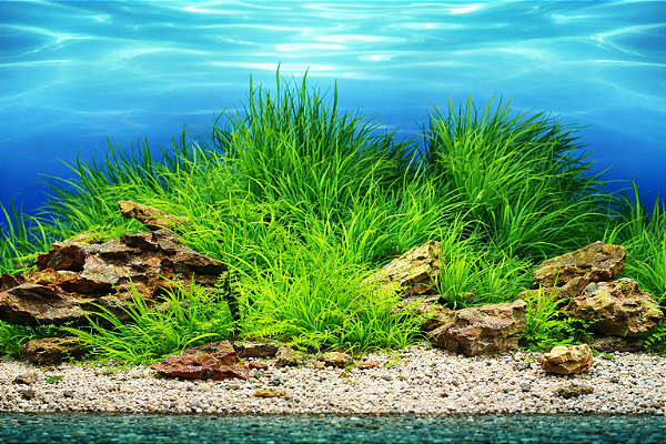 SKRw PAINEL IMAGEM DECOR 60CM 15MT COD-9022/9037