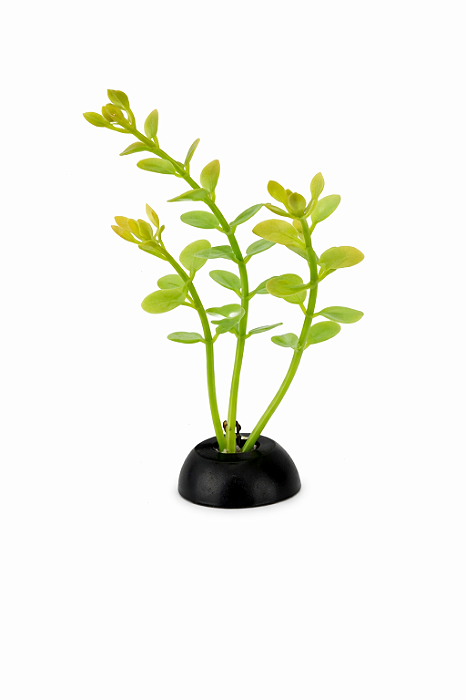 SKRw PLANTA ARTIFICIAL - X-313 MINI 8CM - UNITAR.