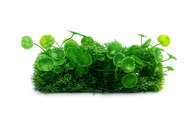 SKRw PLANTA ARTIFICIAL LX-M 944 26X13X3CM VD