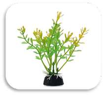 SKRw PLANTA ARTIFICIAL LX-S 357 8CM C/ 10 UNID