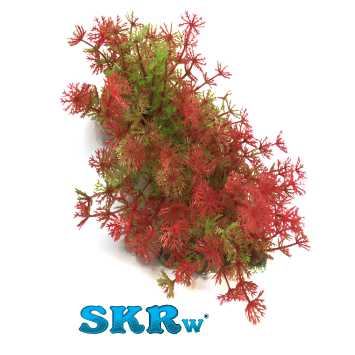 SKRw PLANTA ARTIFICIAL M-638 16X16CM MOITA VD/VM