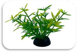 SKRw PLANTA ARTIFICIAL S-228 3X5CM RASTEIRA VD/AM