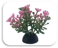 SKRw PLANTA ARTIFICIAL S-234 5CM RASTEIRA RS/VD