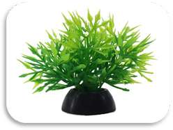 SKRw PLANTA ARTIFICIAL S-236 5CM RASTEIRA VD-MOITA