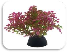 SKRw PLANTA ARTIFICIAL S-241 5CM RASTEIRA RS/VD