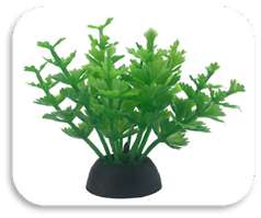 SKRw PLANTA ARTIFICIAL S-242 5CM RASTEIRA VERDE