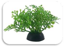SKRw PLANTA ARTIFICIAL S-243 5CM RASTEIRA VERDE
