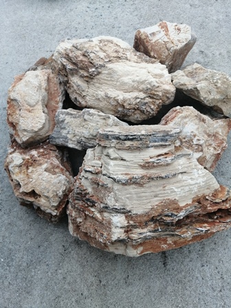 SKRw ROCHA -009 MELALEUCA PETRIFICADA STONE 1 KL