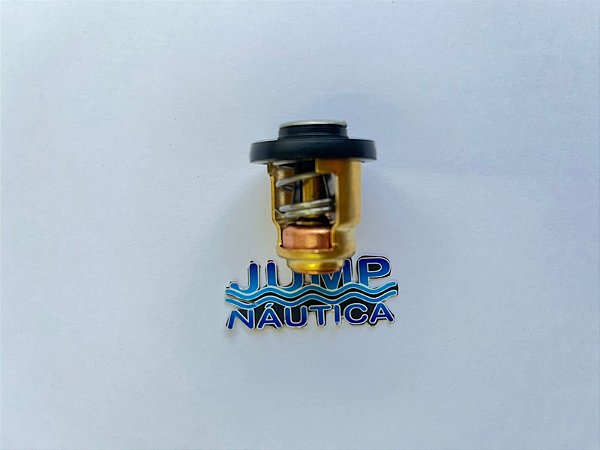 VÁLVULA TERMOSTÁTICA MERCURY 15 SUPER E 25 SEA PRO