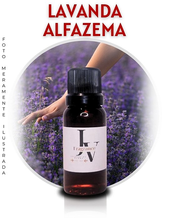 Essência de Aromatizador Lavanda/Alfazema