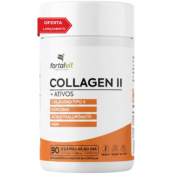 Colágeno Tipo 2 + ATIVOS Cúrcuma, Ácido Hialurônico e MSM - 90 Cápsulas, 45 dias de uso, Fortalvit