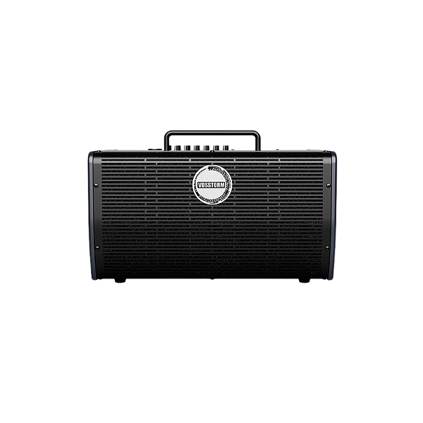 Monitor Amplificado Para Teclado Vosstorm V-kb 25