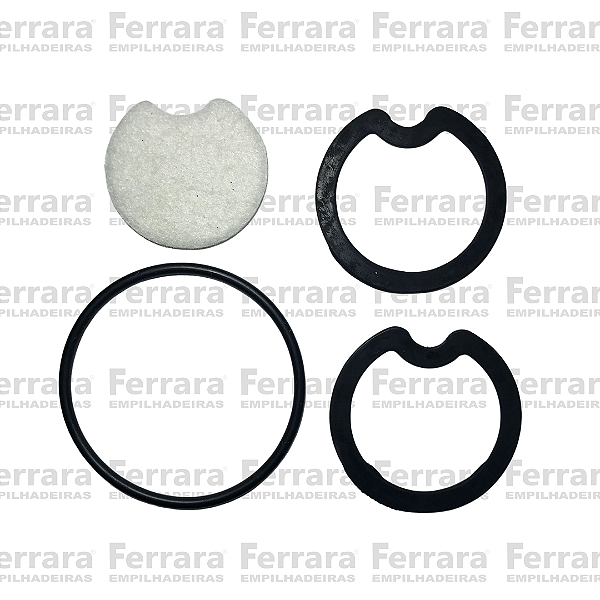 Reparo do Filtro GLP AISAN FT/VX Feltro e Aneis - HY1616232/P