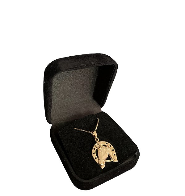 Corrente com Pingente de Ferradura Banhado a Ouro 18K
