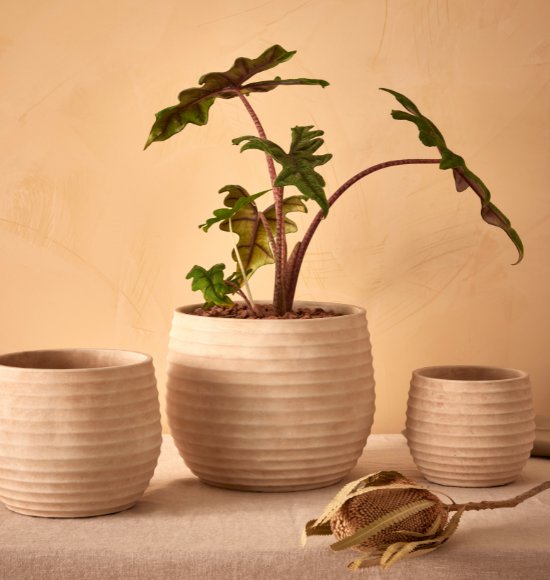 Cachepot em Cimento Claro Modelo Ondulado (3 Tamanhos)