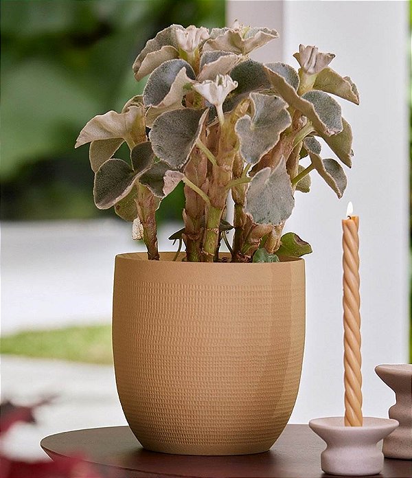 Cachepot Decorativo Redondo Marrom Natural com Textura (2 Tamanhos)