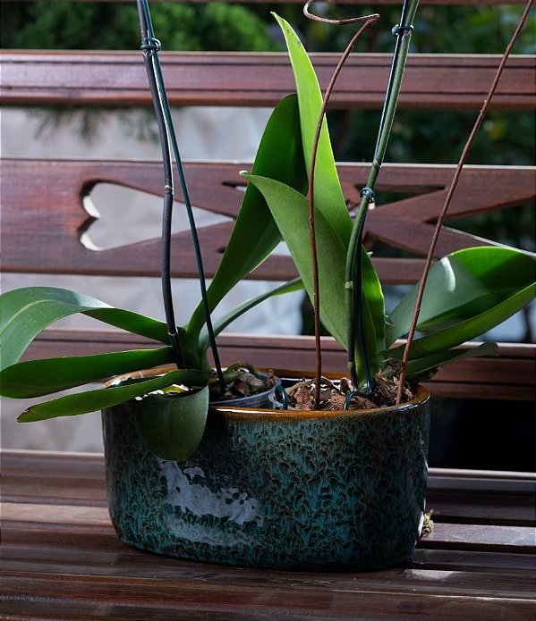 Cachepot Bacia Verde em Cerâmica Esmaltada com Fundo Caramelo (11x22)