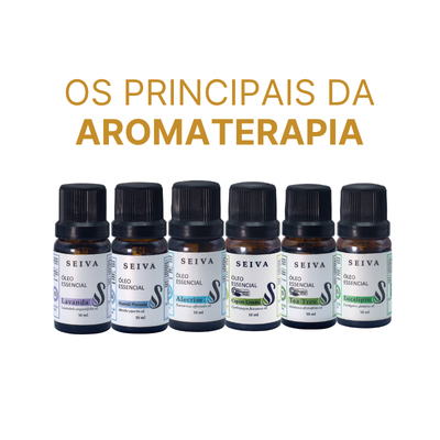 Combo Óleos Essenciais - OE Lavanda, Hortelã Pimenta, Alecrim, Capim Limão, Tea Tree e Eucalípto