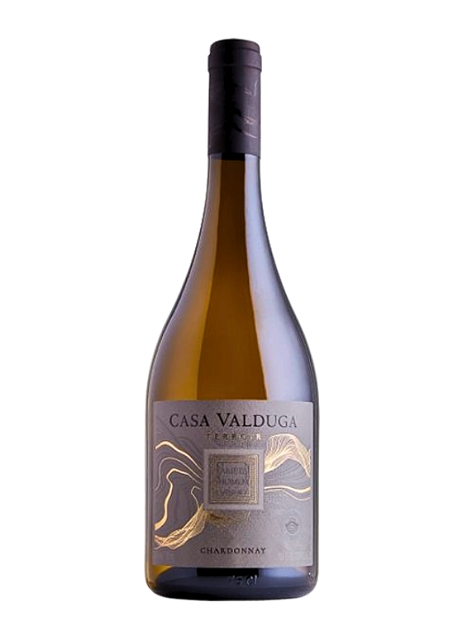 Vinho Casa Valduga Terroir Chardonnay