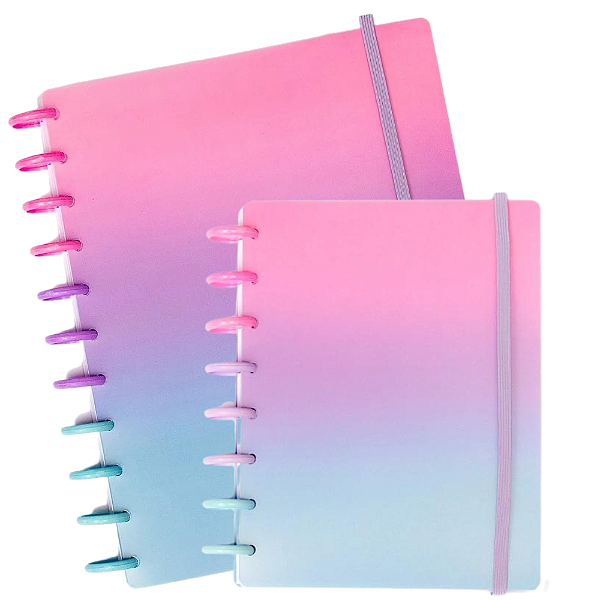 Combo Caderno de Disco 1 Grande + 1 A5 - Basic Floresca