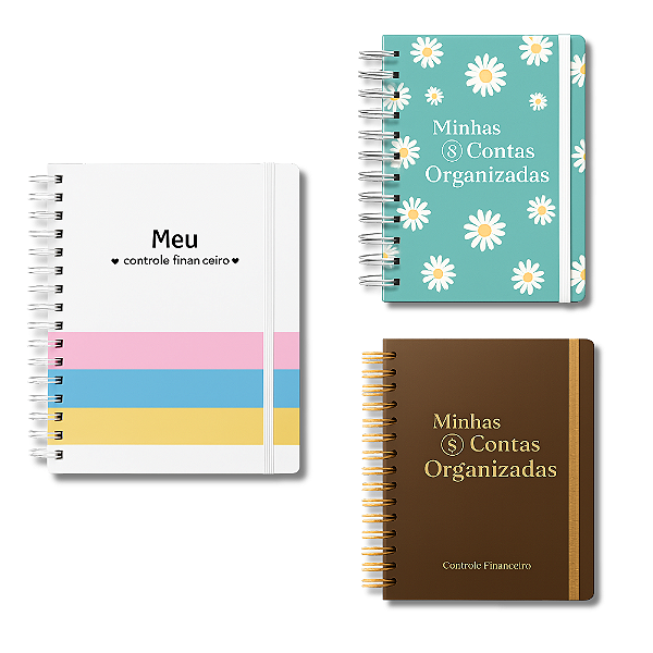 Caderno de Controle Financeiro - Contas Organizadas - Moreih Paper