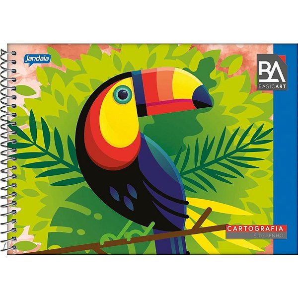 Caderno desenho universitario basic art 48fls. esp. horiz. - jandaia (pct.c/10)