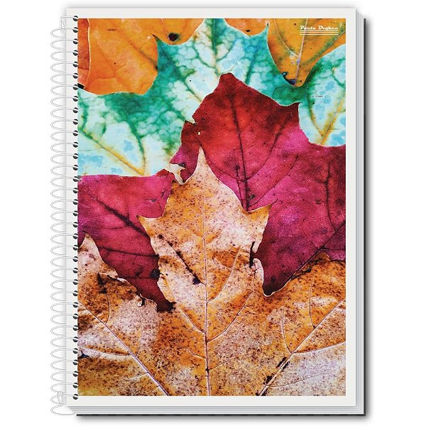 Caderno espiral 1/4 flexivel new 96fls. - pauta branca (pct.c/10)