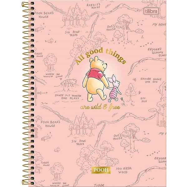 Caderno 01x1 capa dura pooh connect 80fls. - tilibra (pct.c/04)