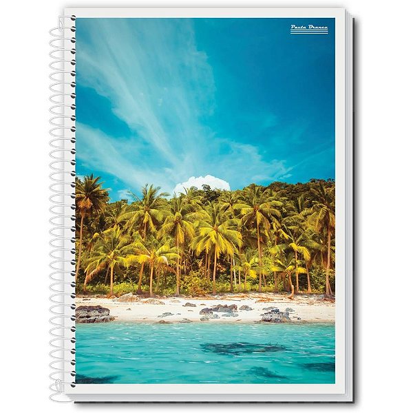 Caderno 01x1 flexivel new 96fls. - pauta branca (pct.c/10)