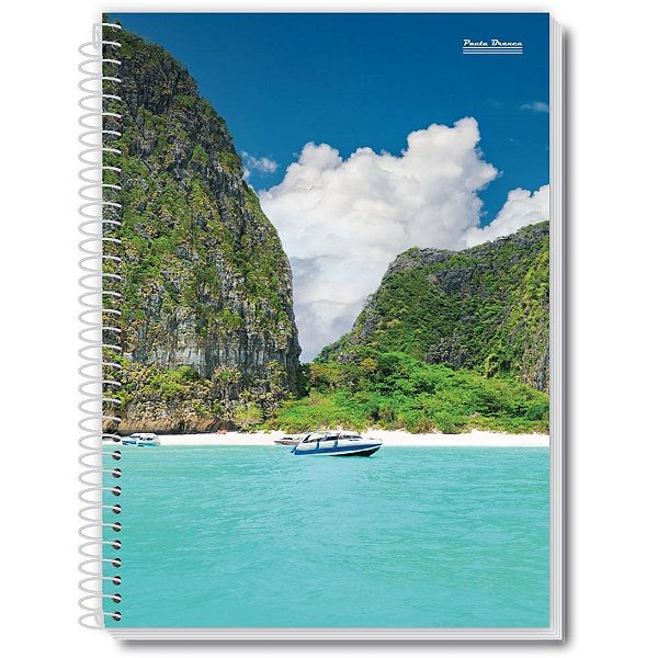 Caderno espiral 1/4 capa dura new 200fls. - pauta branca (pct.c/05)