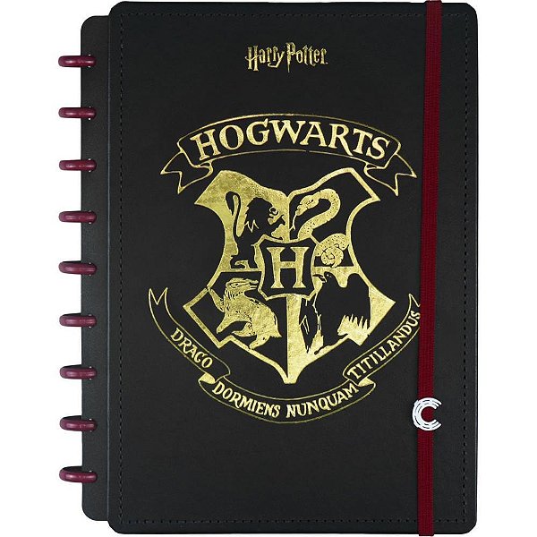 Caderno inteligente medio harry potter 80fls 190x255mm - caderno inteligente (unidade)