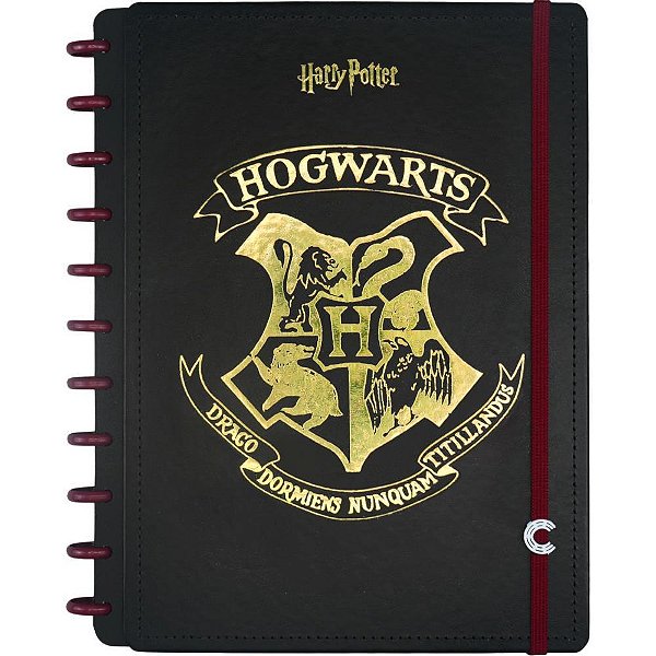 Caderno inteligente grande harry potter 80fls 215x280mm - caderno inteligente (unidade)
